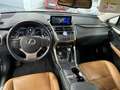 Lexus NX 300 300h Executive Navigation 4WD Negro - thumbnail 11
