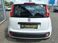 Fiat Panda Easy*Klima*Radio-DAB*Bluetooth*HJ-Räder* - thumbnail 7