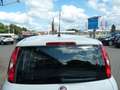 Fiat Panda Easy*Klima*Radio-DAB*Bluetooth*HJ-Räder* - thumbnail 13