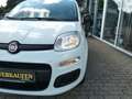 Fiat Panda Easy*Klima*Radio-DAB*Bluetooth*HJ-Räder* - thumbnail 4