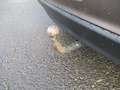 Mitsubishi ASX 1.8 DI-D+ 2WD ClearTec Edition 2.Hand/AHK.. Grau - thumbnail 11