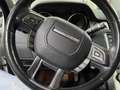Land Rover Range Rover Evoque Pure Panorama Weiß - thumbnail 9