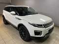 Land Rover Range Rover Evoque Pure Panorama Weiß - thumbnail 2