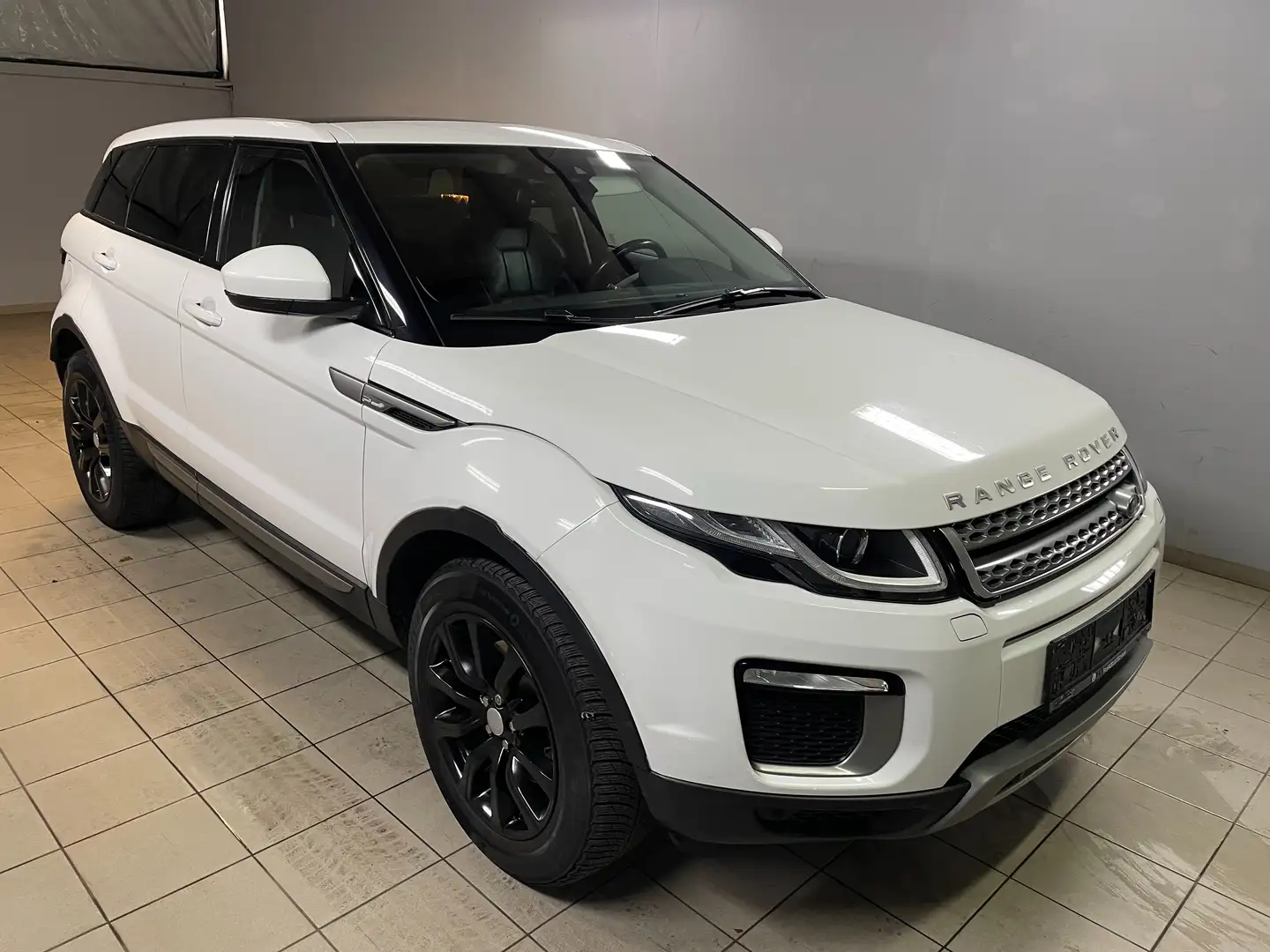 Land Rover Range Rover Evoque Pure Panorama Weiß - 2