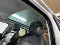Land Rover Range Rover Evoque Pure Panorama Weiß - thumbnail 12