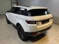 Land Rover Range Rover Evoque Pure Panorama Weiß - thumbnail 4