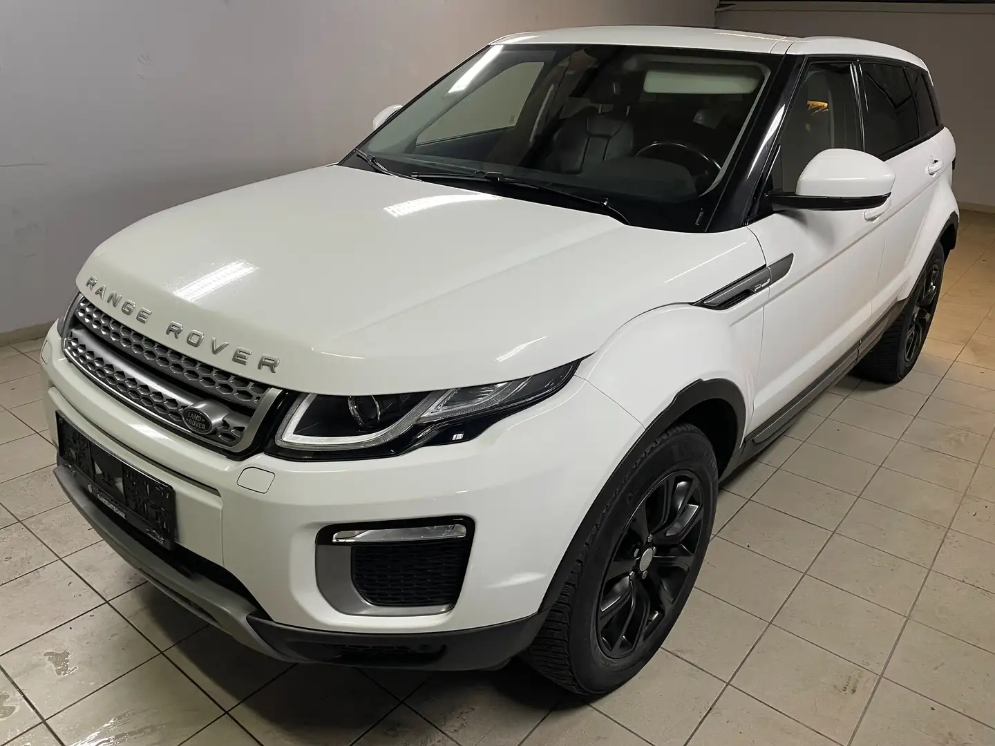 Land Rover Range Rover Evoque Pure Panorama Weiß - 1