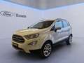 Ford EcoSport 1.0 EcoBoost 125 CV Start&Stop Titanium Weiß - thumbnail 3