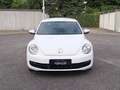 Volkswagen Beetle Lim. Basis BMT*wenig km*Klima*1 Hand* Weiß - thumbnail 7