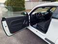 Volkswagen Beetle Lim. Basis BMT*wenig km*Klima*1 Hand* Weiß - thumbnail 9