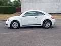 Volkswagen Beetle Lim. Basis BMT*wenig km*Klima*1 Hand* Weiß - thumbnail 8