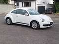 Volkswagen Beetle Lim. Basis BMT*wenig km*Klima*1 Hand* Weiß - thumbnail 4