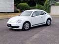 Volkswagen Beetle Lim. Basis BMT*wenig km*Klima*1 Hand* Weiß - thumbnail 1