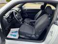 Volkswagen Beetle Lim. Basis BMT*wenig km*Klima*1 Hand* Weiß - thumbnail 20