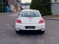 Volkswagen Beetle Lim. Basis BMT*wenig km*Klima*1 Hand* Weiß - thumbnail 6