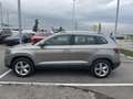 Skoda Karoq 2.0 TDi SCR Ambition 4x4 Beige - thumbnail 8