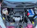 Ford Fiesta 5p 1.4 tdci Titanium Rosso - thumbnail 8