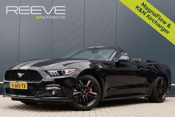 Convertible 2.3 EcoBoost EU Model | Leer | K&N Int