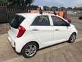 Kia Picanto 1.0 12V 5 porte Glam Bianco - thumbnail 4