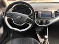 Kia Picanto 1.0 12V 5 porte Glam Bianco - thumbnail 7