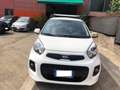 Kia Picanto 1.0 12V 5 porte Glam Bianco - thumbnail 2