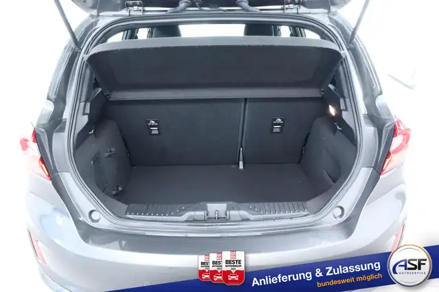 Ford Fiesta view 10