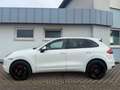 Porsche Cayenne Turbo,Car Play ,43tkm!!! Blanco - thumbnail 2
