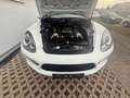 Porsche Cayenne Turbo,Car Play ,43tkm!!! Blanco - thumbnail 9