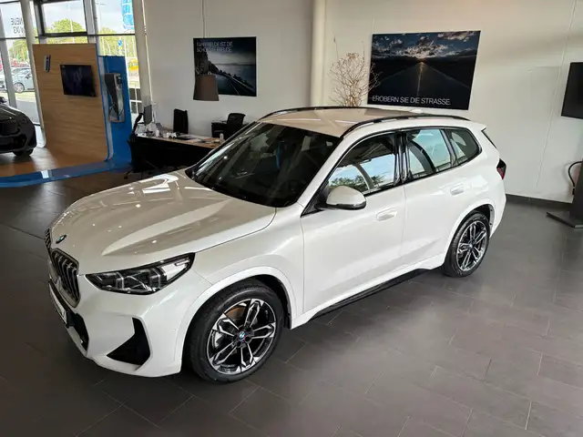 BMW X1 view 30