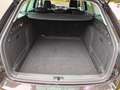 Skoda Superb Superb Kombi 2,0 TDI Ambition DSG Ambition Braun - thumbnail 11