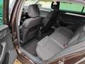 Skoda Superb Superb Kombi 2,0 TDI Ambition DSG Ambition Braun - thumbnail 10