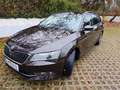 Skoda Superb Superb Kombi 2,0 TDI Ambition DSG Ambition Braun - thumbnail 1