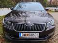 Skoda Superb Superb Kombi 2,0 TDI Ambition DSG Ambition Braun - thumbnail 2