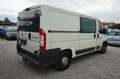 Fiat Ducato 120 (Rs: 3450 mm) |HU AU bis Juli 2026| Blanco - thumbnail 5