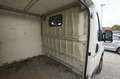 Fiat Ducato 120 (Rs: 3450 mm) |HU AU bis Juli 2026| Blanco - thumbnail 14