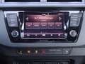 Skoda Fabia 1.0 TSI Cool Plus Inspektionspaket BigDeal! Blau - thumbnail 11