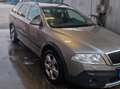 Skoda Octavia Octavia Combi 2.0 TDI DPF Scout 4x4 Beige - thumbnail 2