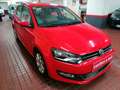 Volkswagen Polo 1.4 85cv DSG Sport Rojo - thumbnail 6