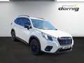 Subaru Forester Excl.Cross, AHK Blanc - thumbnail 2
