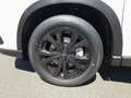 Subaru Forester Excl.Cross, AHK Blanc - thumbnail 6