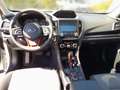Subaru Forester Excl.Cross, AHK Blanc - thumbnail 11