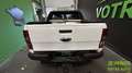 Ford Ranger Wild Track doubles cabine III (TKE) Phase 2 3.2 TDCI 20V Pickup Double Cabine 4&#215;4 200 cv Boîte auto Blanc - thumbnail 11