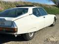 Citroen SM Citroën SM 2.7 V6 Klassiker mit Stil - 1971 Weiß - thumbnail 1