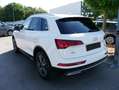 Audi Q5 40 TDI DPF S TRONIC QUATTRO* S-LINE*AHK*ASSISTENZP Weiß - thumbnail 6