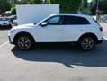 Audi Q5 40 TDI DPF S TRONIC QUATTRO* S-LINE*AHK*ASSISTENZP Weiß - thumbnail 5