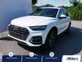 Audi Q5 40 TDI DPF S TRONIC QUATTRO* S-LINE*AHK*ASSISTENZP Weiß - thumbnail 1