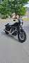 Harley-Davidson Sportster iron 883 Zwart - thumbnail 12
