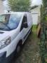 Citroen Jumpy 27 L1H1 Blanc - thumbnail 2
