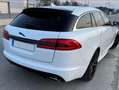 Jaguar XF XF Sportbrake 2,2 Diesel Premium Luxury Premium Luxury Weiß - thumbnail 2