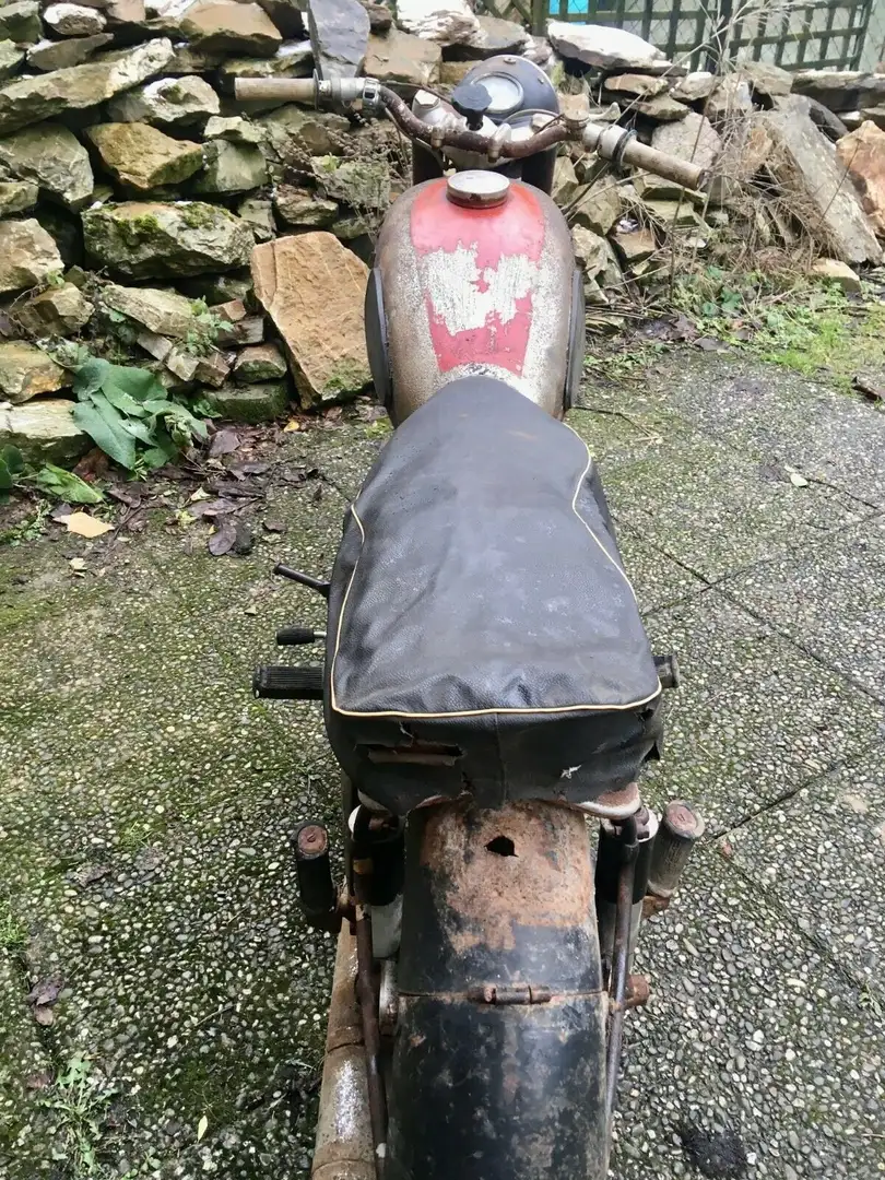 Horex Regina 350 Oro - 2